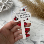 Medalii Cheița succesului cu Buburuza thumb-image 1