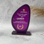 Trofeu personalizat pentru concursuri thumb-image 1