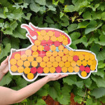 Guest book cu Masinuta thumb-image 1