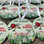 Medalii din lemn ,,Adio Gradiniță,, cu buburuză thumb-image 3