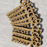 Medalii Cheița succesului aurie thumb-image 3