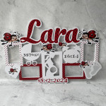 Rame foto cu buburuza thumb-image 1