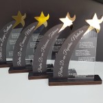 Trofeu ,,Steaua Recunoștinței,, thumb-image 1