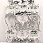 Rama foto cu Mire și Mireasă 23 thumb-image 3