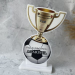 Trofeu personalizat pentru fotbal thumb-image 1