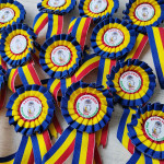 Medalii cu lenta tricolor thumb-image 2