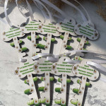 Cheița succesului cu romanite thumb-image 2