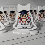 Trofeu prima zi de școală cu bufnite thumb-image 1