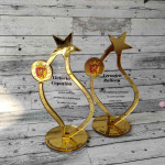 Trofeu personalizat din acril auriu stea thumb-image 1