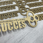 Medalii Cheița succesului aurie thumb-image 2