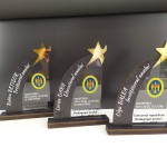 Trofeu ,,Steaua Recunoștinței,, thumb-image 2