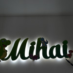 Led cu nume cu Dinozauri 3 thumb-image 2